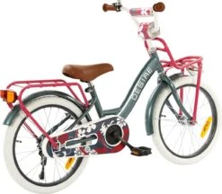 2Cycle Desire Kinderfiets - 18 Inch - Voordrager - Grijs - Meisjesfiets -Fiets Verkoop Winkel 1200x1049 3