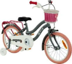 2Cycle Pretty Meisjesfiets - 16 Inch - Grijs-Roze - Meisjesfiets 9 2Cycle Pretty Meisjesfiets - 16 Inch - Grijs-Roze - Meisjesfiets -Fiets Verkoop Winkel 1200x1062 2