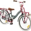 2Cycle Desire Kinderfiets - 20 Inch - Voordrager -Grijs-Roze - Meisjesfiets