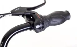 Amigo Bright - Damesfiets 28 Inch - Fiets Met 3 Versnellingen - Antraciet -Fiets Verkoop Winkel 1200x739 2