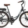 Elektrische Stadsfiets 26 '' (F264) - Stalen Frame - 6 Versnellingen Shimano - Schijfremmen - 10 Ah - Grijs