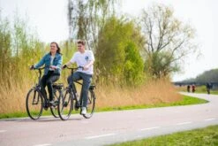 Amigo E-Vibe D1 - Elektrische Stadsfiets Voor Heren - Met 7 Versnellingen - Matgrijs -Fiets Verkoop Winkel 1200x800 9