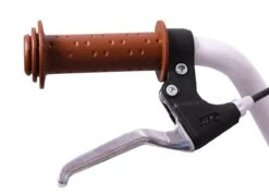 Amigo Bloom Meisjesfiets - Kinderfiets 20 Inch - Turquoise 21 Amigo Bloom Meisjesfiets - Kinderfiets 20 Inch - Turquoise -Fiets Verkoop Winkel 1200x876