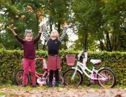 Amigo Flower Meisjesfiets - Kinderfiets 18 Inch - Wit 15 Amigo Flower Meisjesfiets - Kinderfiets 18 Inch - Wit -Fiets Verkoop Winkel 1200x917 13