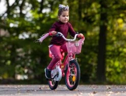Amigo Magic Meisjesfiets - Kinderfiets 12 Inch - Roze -Fiets Verkoop Winkel 1200x917 66