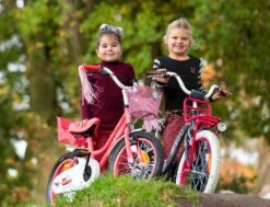 Amigo Magic Meisjesfiets - Kinderfiets 12 Inch - Roze -Fiets Verkoop Winkel 1200x917 69