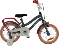 2Cycle Pretty Kinderfiets - 14 Inch - Grijs-Roze - Meisjesfiets 6 2Cycle Pretty Kinderfiets - 14 Inch - Grijs-Roze - Meisjesfiets -Fiets Verkoop Winkel 1200x931