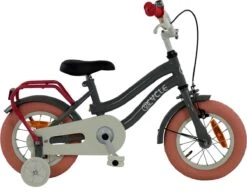 2Cycle Pretty - Kinderfiets - 12 Inch - Grijs-Roze - Meisjesfiets 7 2Cycle Pretty - Kinderfiets - 12 Inch - Grijs-Roze - Meisjesfiets -Fiets Verkoop Winkel 1200x933 2