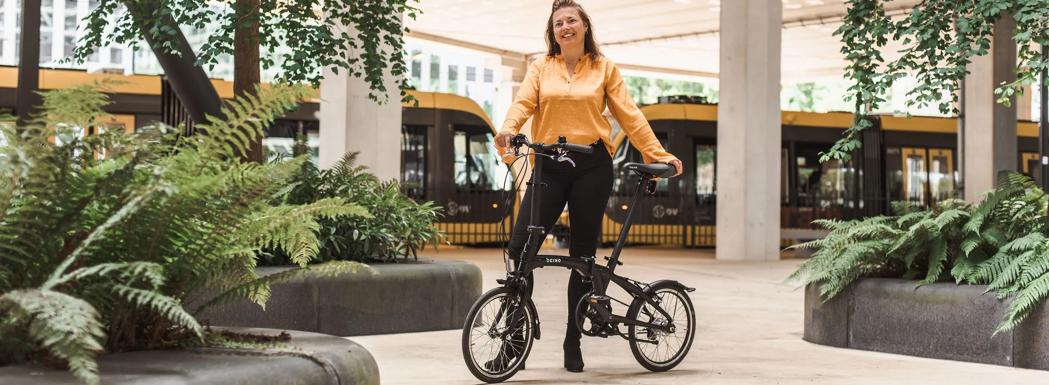 Fiets Verkoop Winkel -Fiets Verkoop Winkel 1